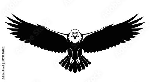 Black and White Eagle Silhouette Flying Spread Wings Isolated