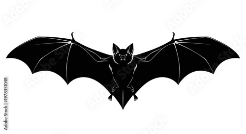 Silhouette of a bat with outstretched wings flying on a white background