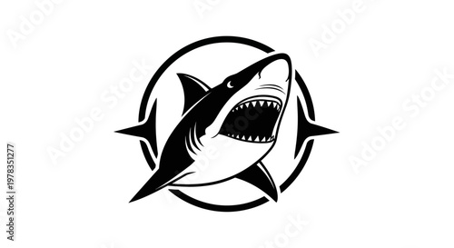 Aggressive shark head emblem, open mouth, sharp teeth, circle and starburst graphic
