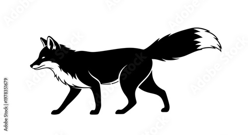 Black Fox Silhouette Walking Isolated White Background