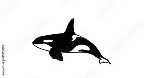 Orca Whale Silhouette, Killer Whale Illustration, Marine Mammal Vector