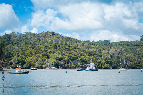 Fishing boats rest on calm waters beneath lush green hills and rocky cliffs. Seabirds glide across a bright sky. A serene coastal scene rich with nature and maritime charm at Mercury Bay, New Zealand