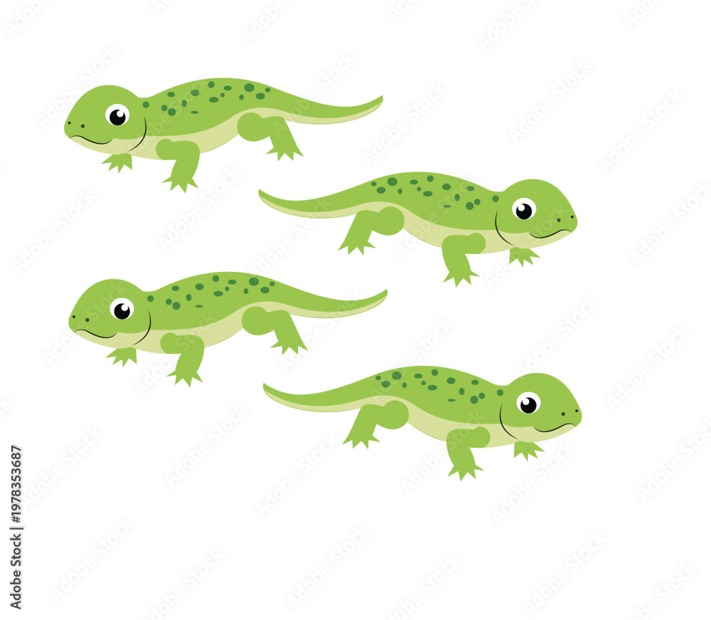 Fototapeta premium Group of cute green lizards