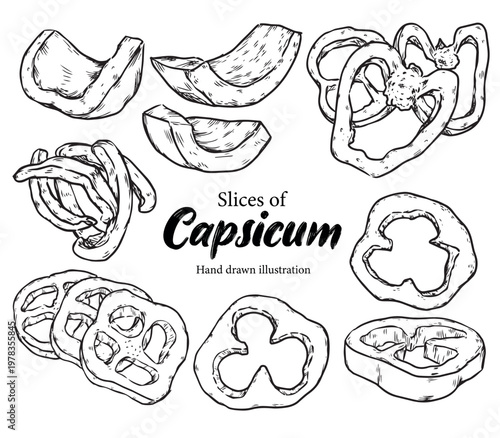 Set of hand drawn slices of capsicum vegetable outline drawing illustration