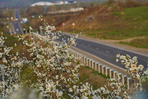 Spring flowering of trees in the valley at the foot of the mountains. Talgar gorge.