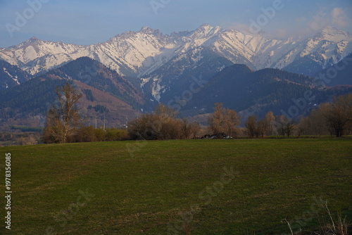 Spring flowering of trees in the valley at the foot of the mountains. Talgar gorge.