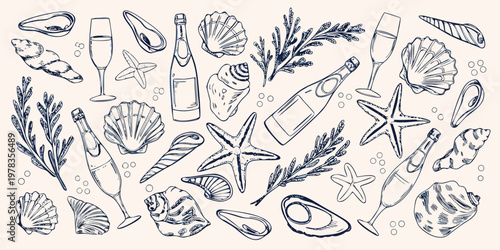 Sketch of seashells champagne glasses and seaweed in a decorative pattern