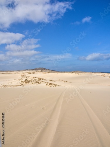 Desert with off-road vehicle tracks, ocean in the background. Boa Vista Island, Cape Verde.