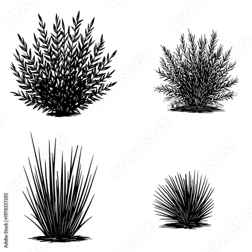 Lush bushes and thickets, hand-drawn sketch. Vector illustration. Grass and shrubby trees, set isolated on a white background.