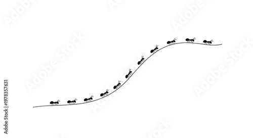 Ants marching in a line on a curved path, symbolizing teamwork and order