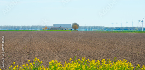 Wallpaper Mural Field with colorful flowers in bright sunlight in springtime, Almere, Flevoland, The Netherlands, April 8, 2026 Torontodigital.ca