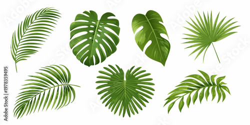 A collection of vibrant tropical leaves displayed against a white background