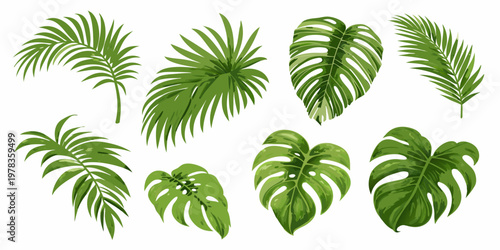 Collection of vibrant green tropical leaves on a white background