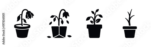 Minimalist black silhouette icons depicting a plant's lifecycle in a pot, showing healthy growth, wilting, losing leaves, and dying stages.