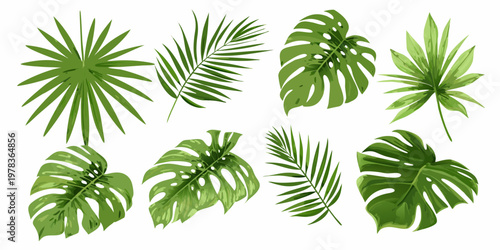 A collection of diverse tropical leaves against a white background