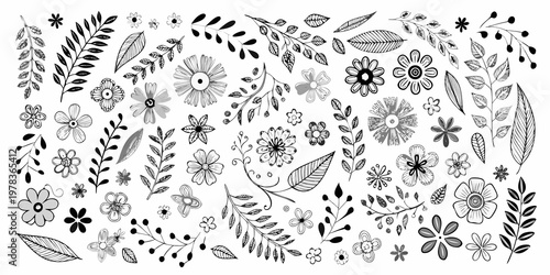 A collection of hand drawn floral and botanical sketches in black and white
