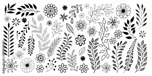 Floral botanical illustration featuring hand drawn leaves and various flower sketches