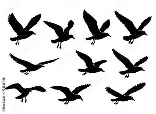 Flying Bird Silhouette Vector Set Black Wing Motion Icons