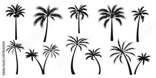 Collection of silhouetted palm trees in varying shapes and sizes