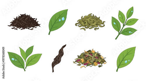 Different types of tea leaves and tea products arranged on a simple background