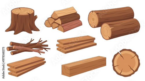 Different types of wooden logs and cuts displayed in various shapes and sizes for use in projects or crafts