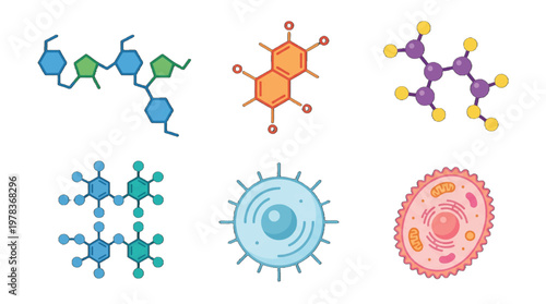 Colorful drawings of different molecules and cells on a white background showing various scientific concepts in biology and chemistry