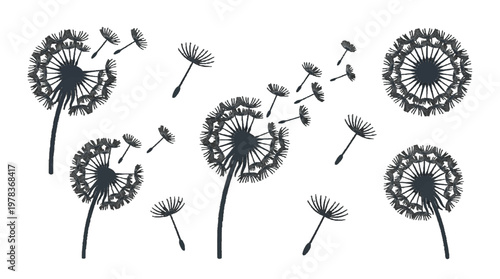 Dandelions spread seeds in the breeze during a sunny day in a meadow