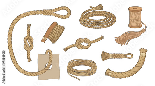Various types of rope and knots displayed on a white background showing different styles and forms for crafting and practical use