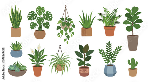 Variety of laboratory tools and equipment arranged on a white background showing common items used in scientific experiments