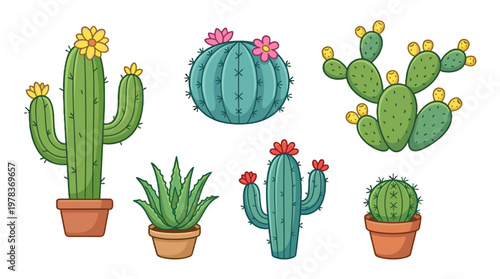 Colorful cactuses in pots with flowers on each plant, arranged in a clear and simple layout for decoration purposes
