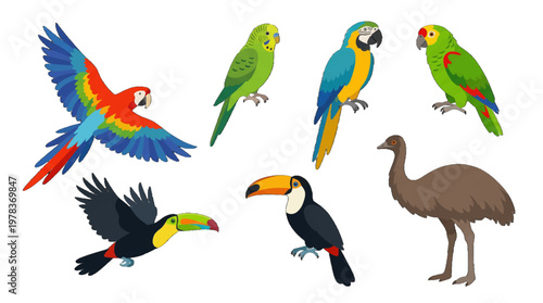 Colorful birds in a lively display showcasing various species and their unique features