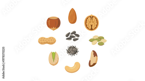 Various types of nuts and seeds arranged in a circle on a white background