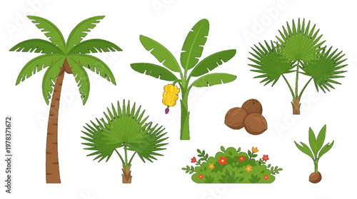 Variety of tropical plants including palm trees, banana plants, and coconut trees in a natural setting