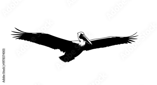 Black Pelican Bird Icon, Flying Bird Silhouette, Wildlife Illustration, Vector Graphic