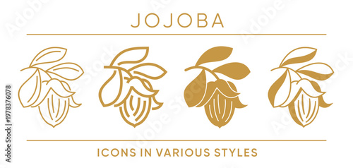 Jojoba Skincare Ingredient Icons Set