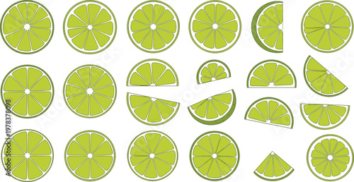 Lime citrus slice collection vector set featuring round and wedge segments with detailed pulp isolated on transparent background for fresh food design