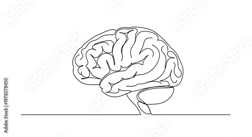 Minimalist single line drawing of a human brain, symbolizing thought, ideas, and intelligence.