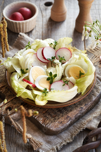 Fresh vegetable salad with chickweed - wild edible plant