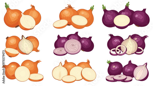 Collection of various onion types including red, white, and yellow varieties shown in whole, halved, and sliced forms for cooking themes.