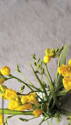 Yellow Freesia Bouquet On Neutral Background