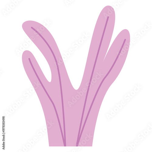 Colorful coral reef seaweed ocean vetor