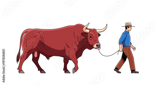 A male farmer wearing a hat walks forward holding a rope tethered to a large red bull with horns in a side view posture isolated on white background
