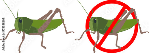Set of Grasshopper Icon Vector Insect Pest Symbol