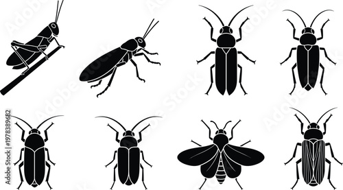 Vector Silhouette Collection of Insects Including Grasshoppers and Beetles Isolated on White Background for Nature Conservation and Entomology Graphic Design Projects