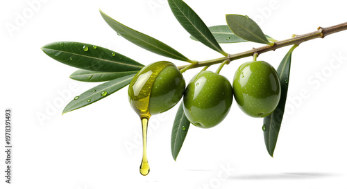 Golden Cascade: Fresh Olives and Premium Olive Oil