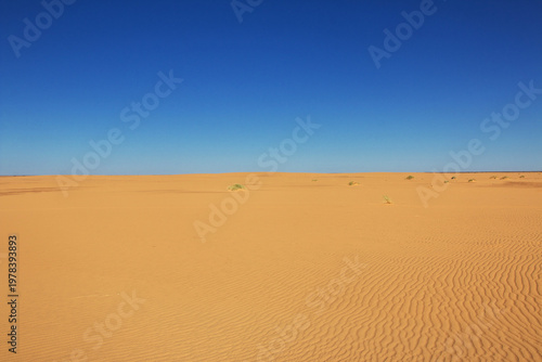 Nature of Sahara Desert, Mauritania, West Africa