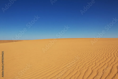 Nature of Sahara Desert, Mauritania, West Africa