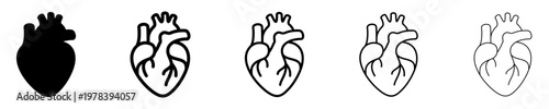 A set of graphic icons of a anatomical human heart anatomical with various outline thicknesses and a solid fill version. Vector illustration.