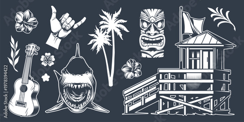 Surfing at the beach in summer