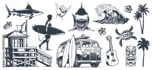 Surfing and beach scenes drawn